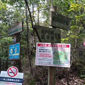 以前ここまで来たねぇ。なんか思い出した。	
東坂ハイキングコースで滑って転んで手を付いて、四十肩に追加ダメージ負ったから、ここから七曲りへ撤退したのだった。