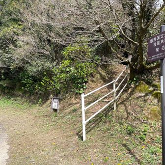 戻ってきた〜
次に行こう🚗💨