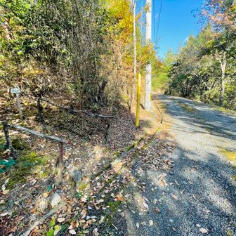 山頂に直接向かう登山道もあるようです♪

僕はロードへ🏃‍♂️💨