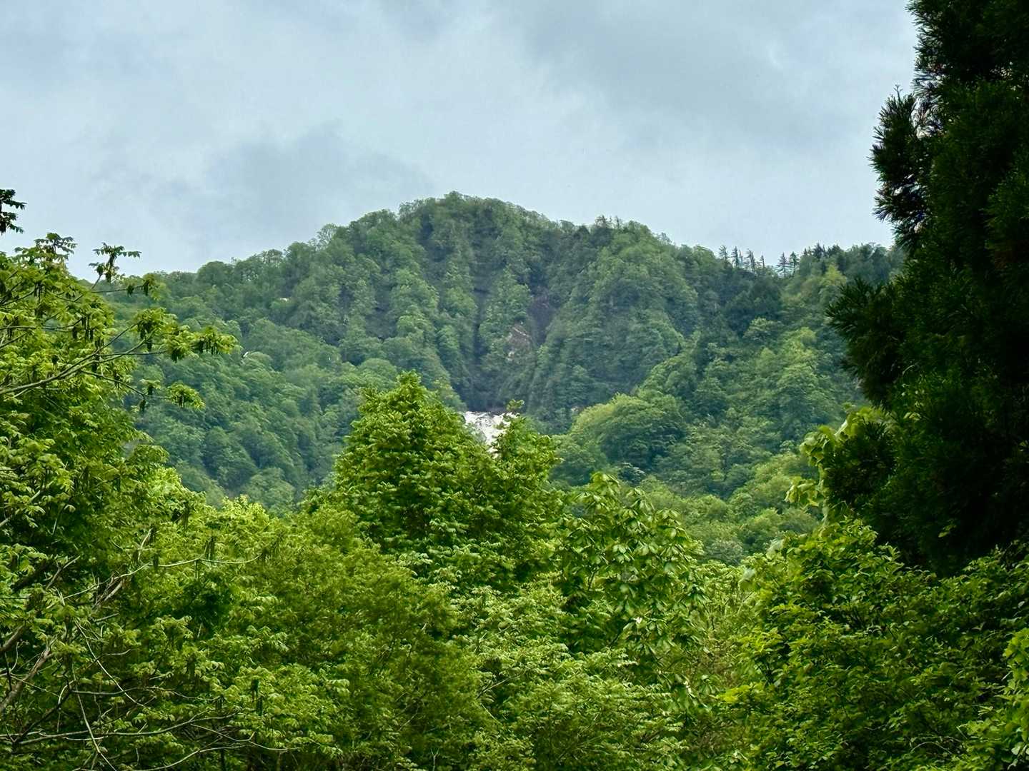 帰りの舗装道路から社峰