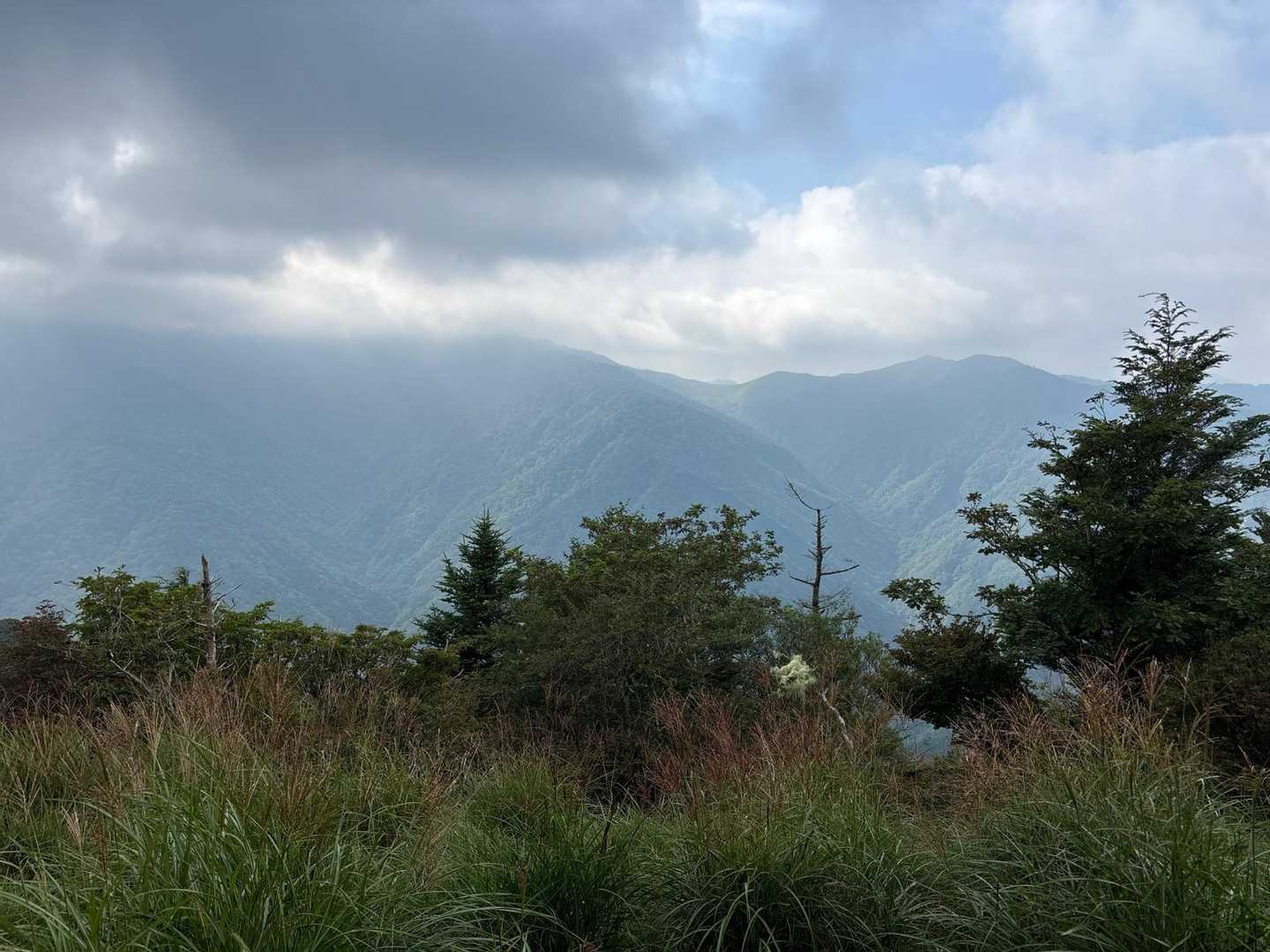 朝は薄曇り、向かいの剣山、次郎笈は雲の中