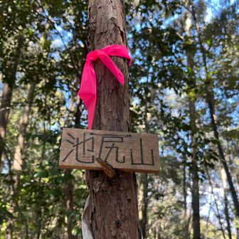 到着　眺望なし