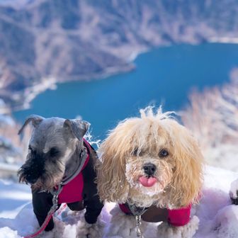 虎梵か～ちゃん