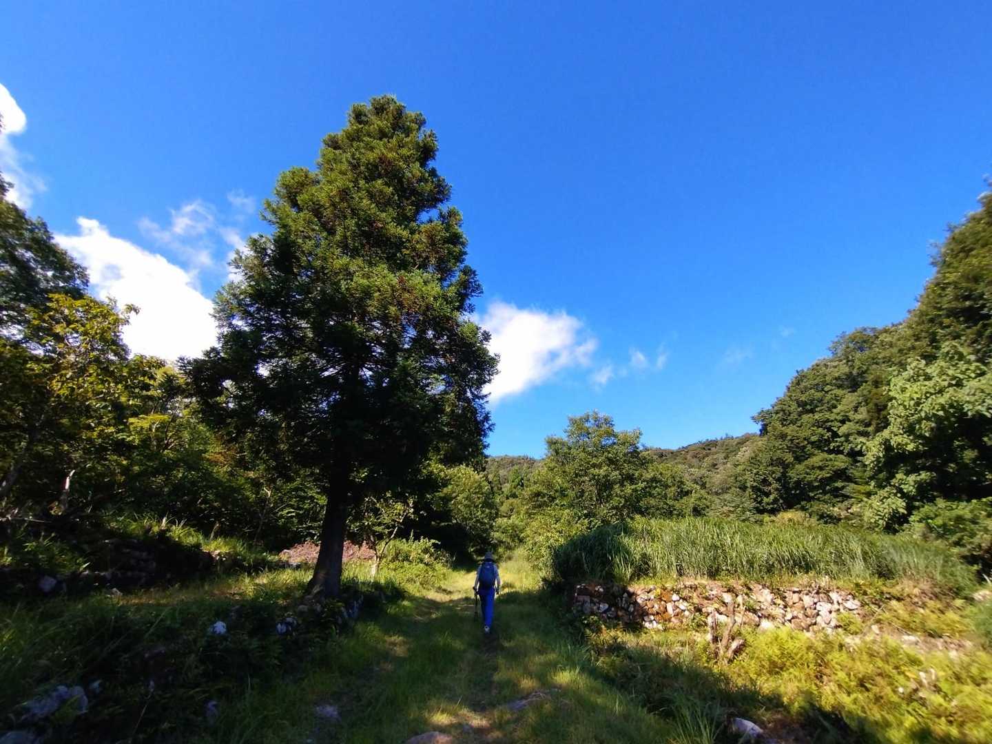 暑くなりそう🌞