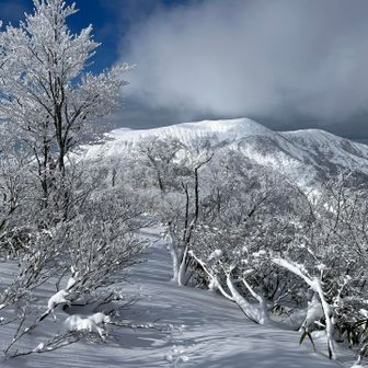 下山の時間を考えてここまで🐖
スタート遅れた時は大体撤退してる💡