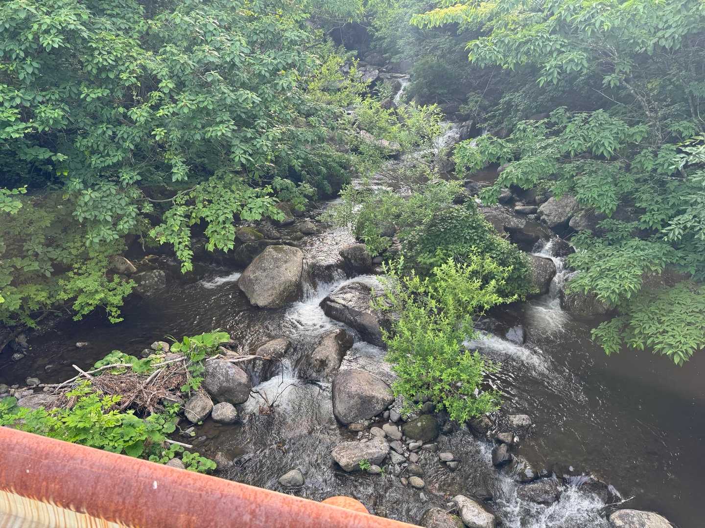 途中、唯一癒されたのが川でした