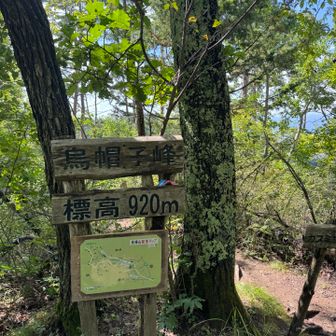 烏帽子峰　登頂

烏帽子峰を降りて看板見たら
ここから光城山まで45分とな　どゆこと

この後まだ予定あるし
色々時間ロスしてるし
何より体力落ちてるし
何だか右足首に違和感あるし

絶対縦走したかったけど！
残念だけど！
今回は諦めよう‼️
