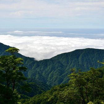 南側に分厚い雲海。
だんだん濃くなってきていました。
