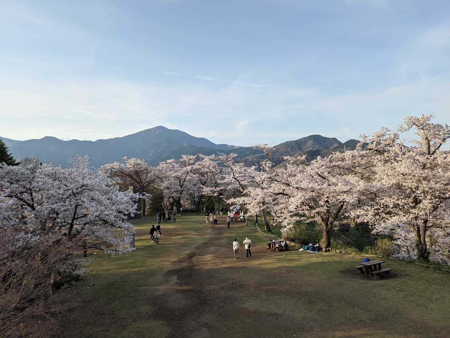権現山-弘法山 周回コースの写真