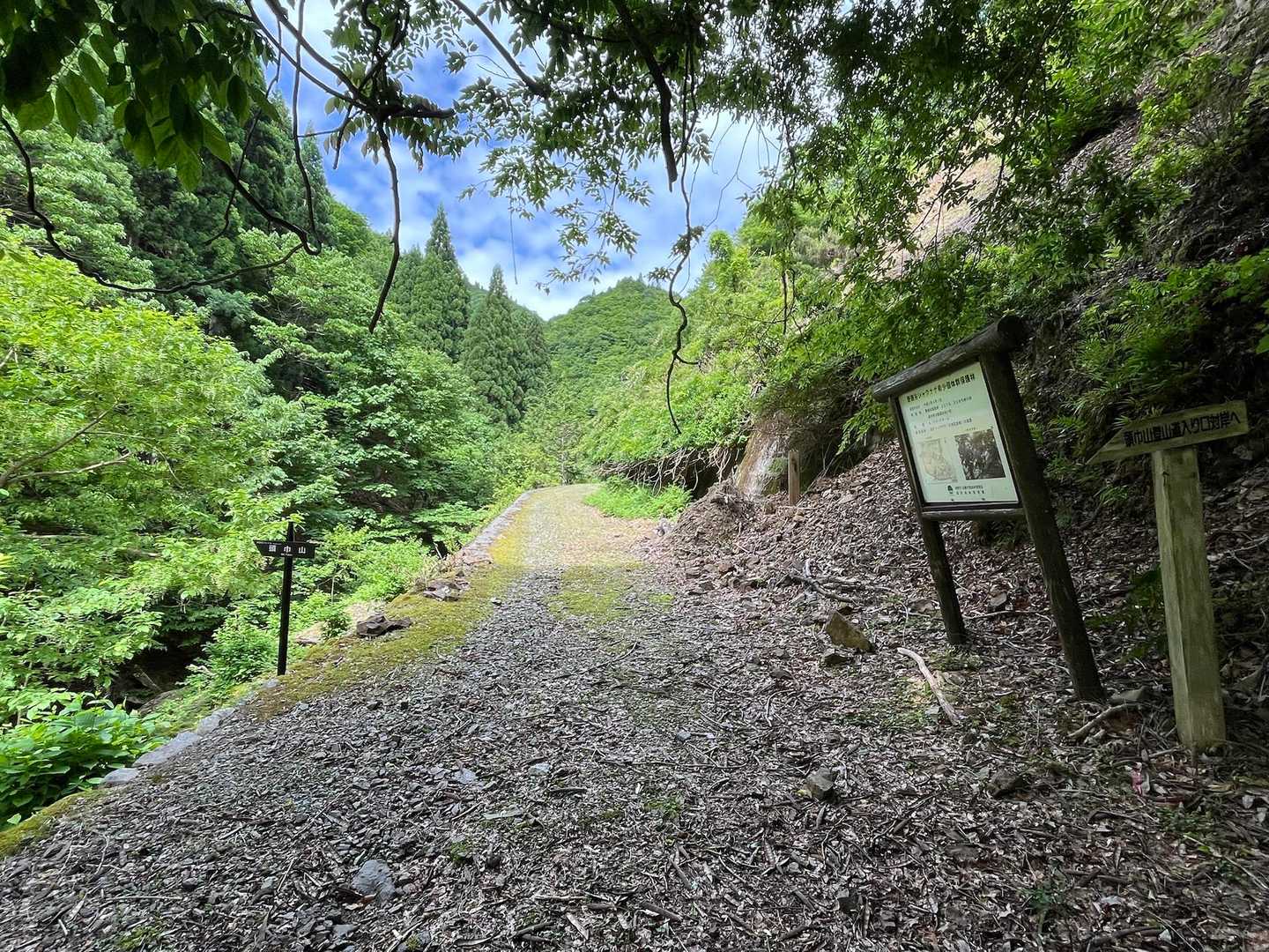 ここまで林道歩きでした
左へ下ります