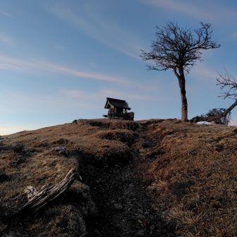 今月のチャンミはダートの2000mですが4月は他にやることが多くてあまり育成頑張れそうにないです…🙏😫🏇