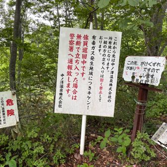 自己責任で！