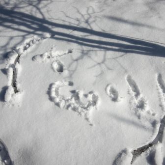 急に魔が差して、落(´･ω･`)書