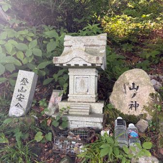 山の神様🙏