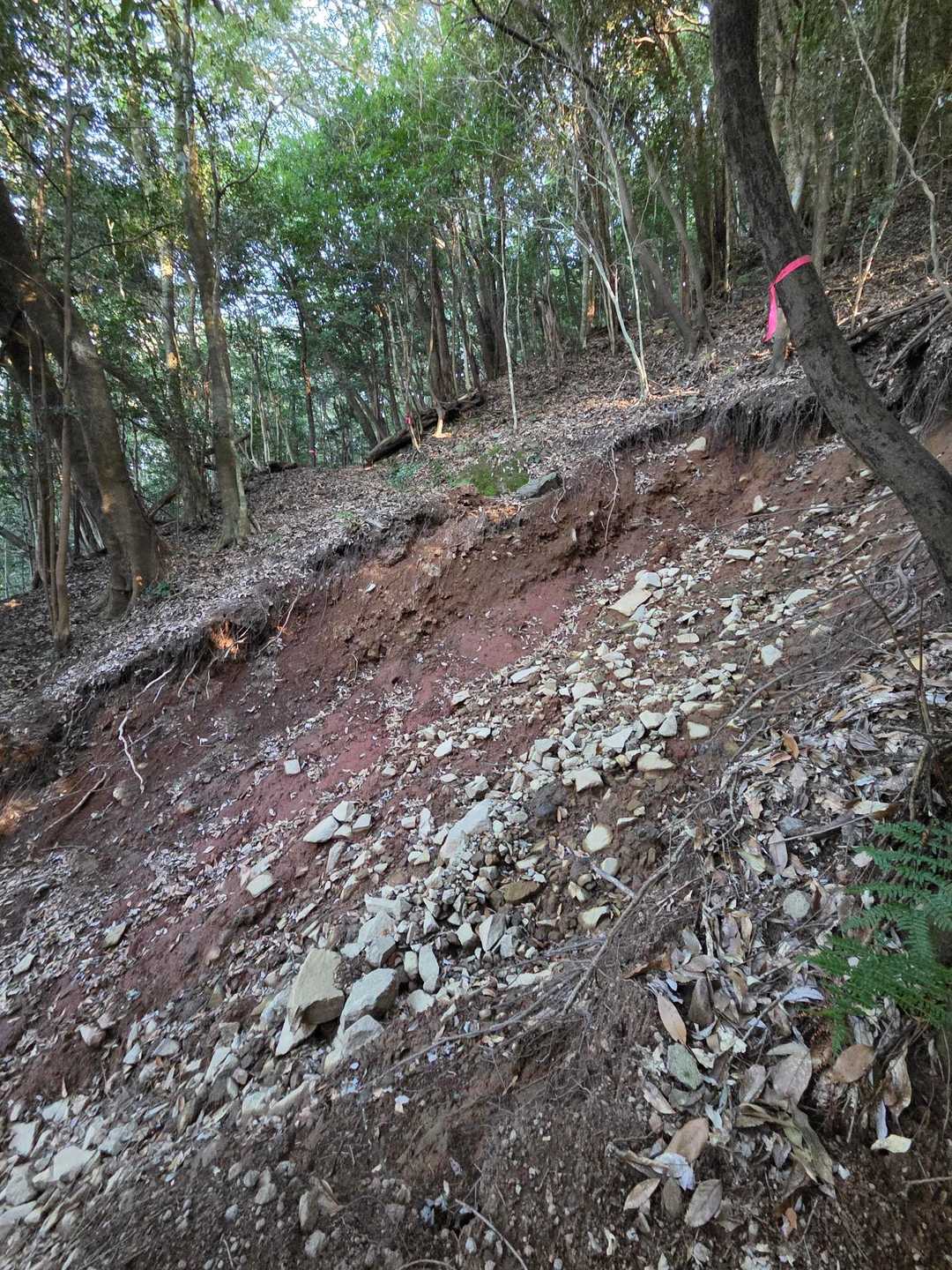 南登山口-長尾山-本仏石 往復コースの写真