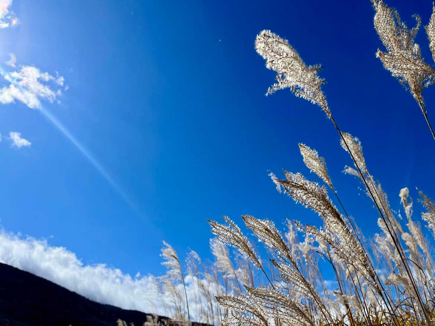 空も綺麗🤩