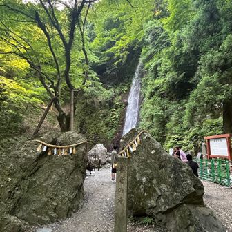 養老の滝🏞
昔、水がお酒に変わる物語があったそうな…🧐
飲み放題やん(笑)滝行やなくて酒(シュ)行やーん😂

そしてまた昔「養老乃瀧」と言う居酒屋🍺はよく行ってたなぁ〜懐かしい😂
最近見ないけど、今もあるのかしら？笑

天然クーラ✨️めちゃくちゃ涼しかった🤗
皆さん涼を求めて賑わってました(*^^*)
