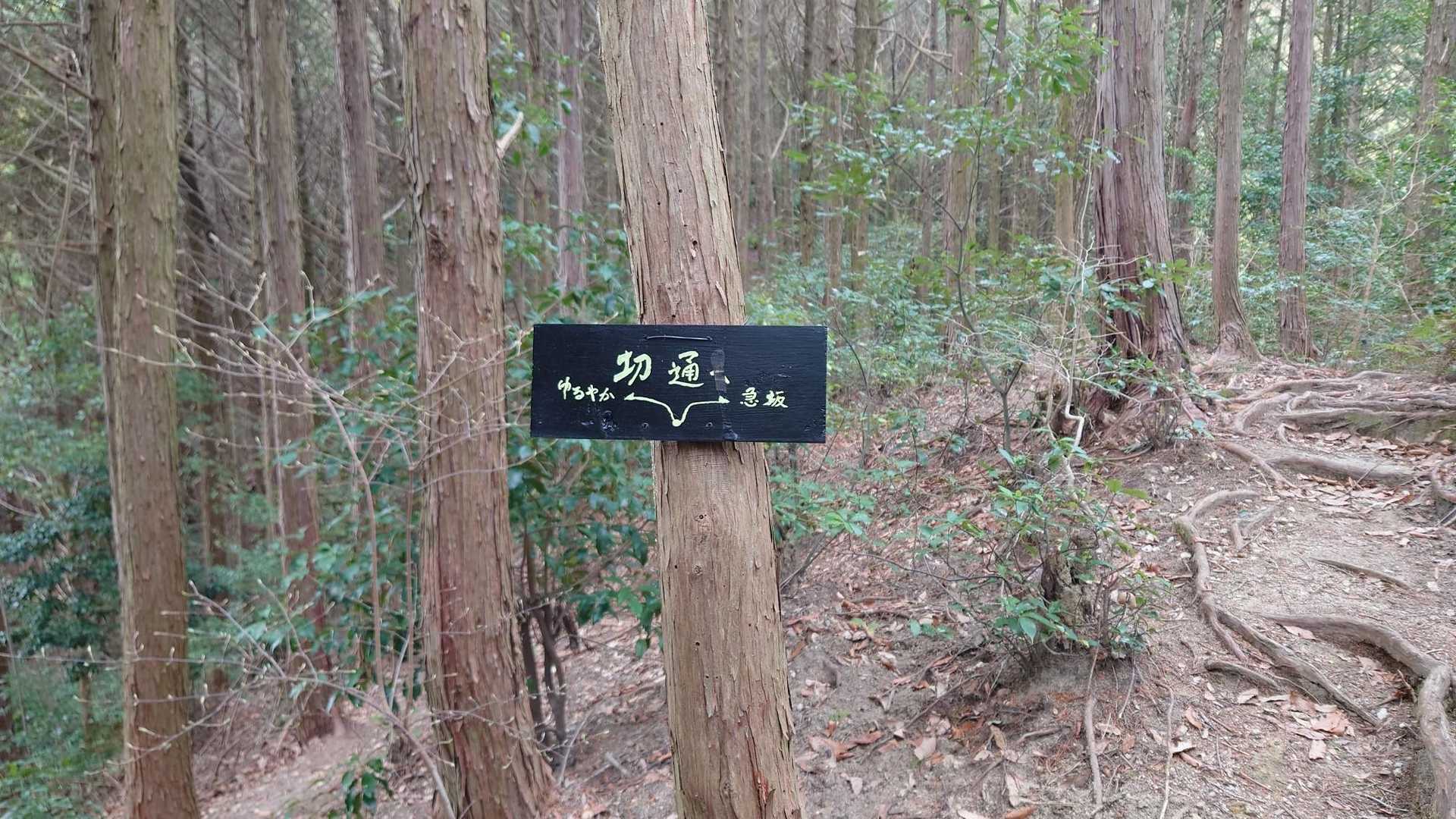 思ったほど急坂ではなかった😄