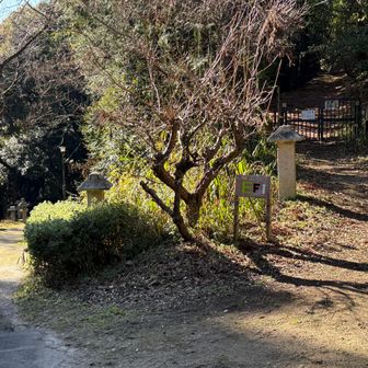 駐車場からの道と合流。