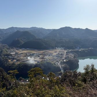 いつ見ても癒されます。