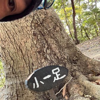 小一足登頂⛰️