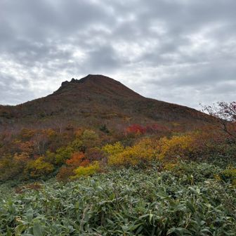 消えました。祈ってみるものですねー。
青空も希望しましたが、贅沢はよくない、とのこと。