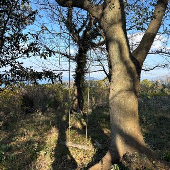 時間が余ったので、再度、大石山⛰️山頂❗️指と腕が血🩸だらけになったが。。。😱