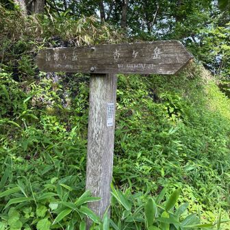 杖の神峠の道標
