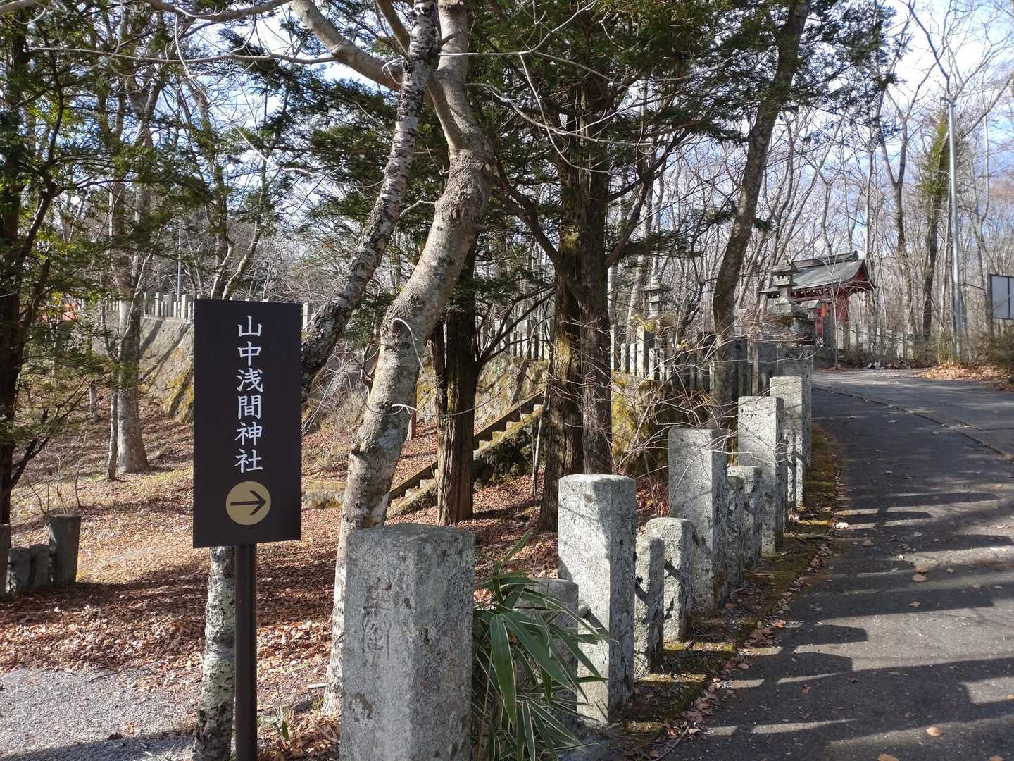 ん？こっちもか🐾