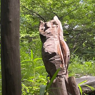 シンプルなフクロウw
これはこれでかわいい😍
榎窪山近くのフクロウ(チェーンソーアート)も見に行こうと思っている🦉