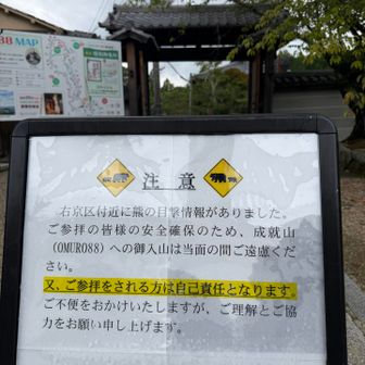 ホントはここを歩く予定でしてが、クマ出没で非推奨とのこと…天候も徐々に崩れてきているのでまた次の機会に