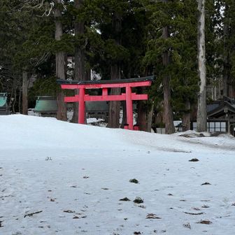 上は雪が結構残ってて踏み抜きました