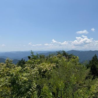 夏の空