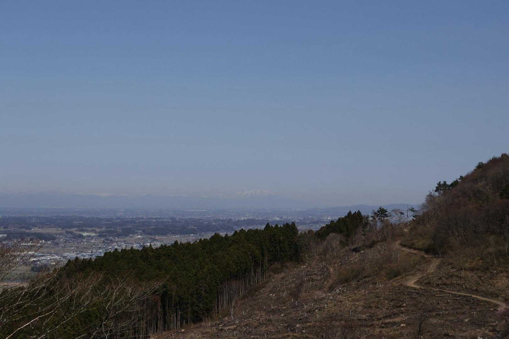 こちら登山道脇の伐採現場。正面、岩手山
