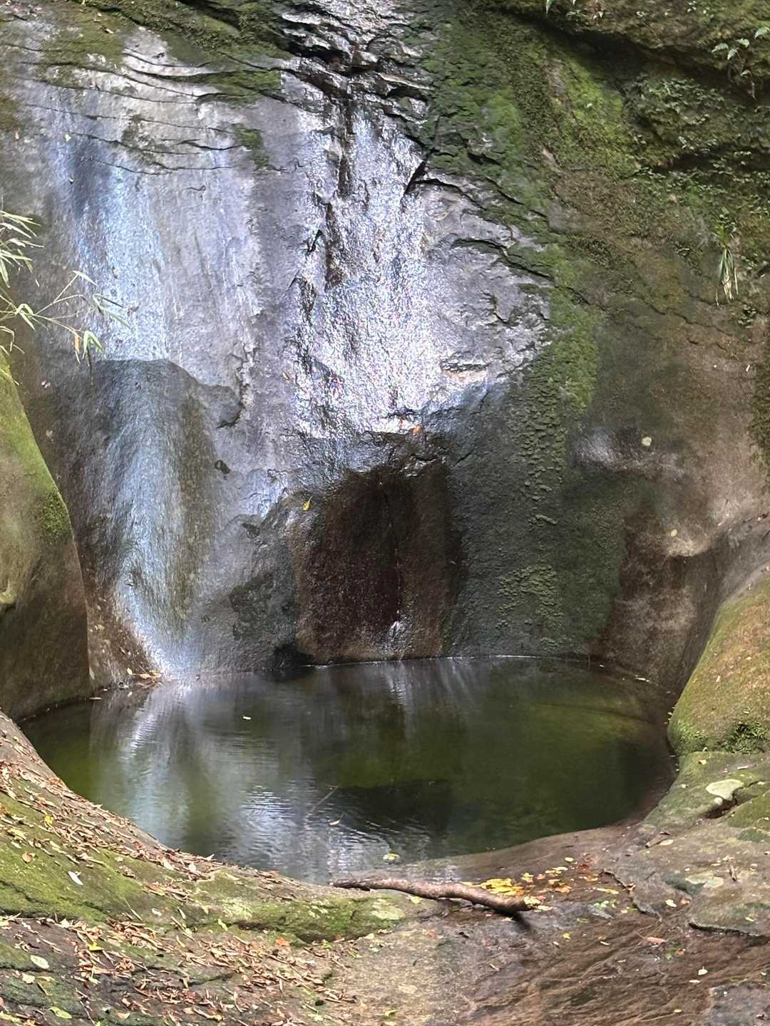 百間山 周回コースの写真