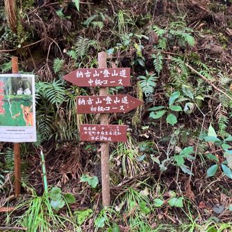 いつもの中級コースで行く