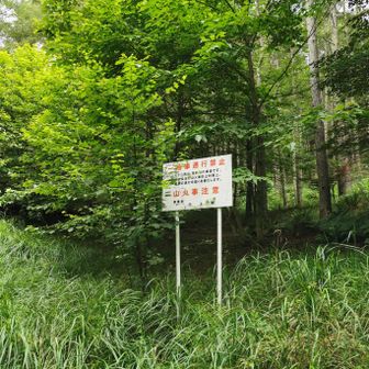 いつの看板だろう。昔はここまで入れたのか