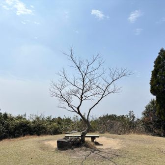 今日は何にも見えません
春はこんな日ありますよね