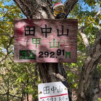 山頂に登頂！
