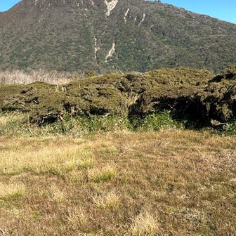 山頂からの大船山　下山ルートみて
ルートが綺麗に見えてます！
やっぱり　あっちやったかな？！！？　と、言いました😅
次は　このルートを登ってみます　展望ルートは下山で　もう　覚えたからね、と😆
本当かな？！と😝