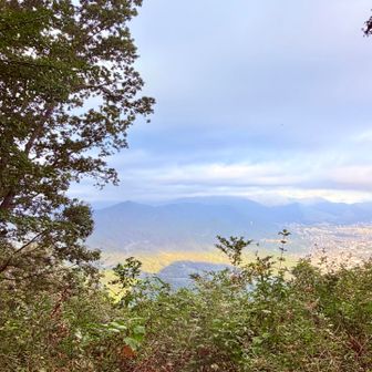 　　　鶴見に高崎山の影　🗻