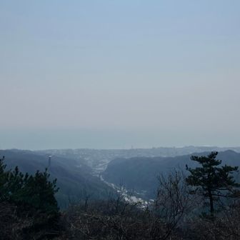 神峰山登頂♩

やっぱり羽黒山→神峰山間が難所（߹ㅁ߹) 
先月と違ってここからの海もぼんやり
なのに登頂したらなぜか元気になる⤴︎︎
あたしにとってはパワースポット✶⋆.˚

大煙突から煙もくもく、見えますか？