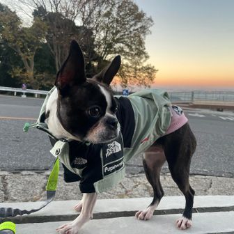 マウンパはノースフェイスもどき