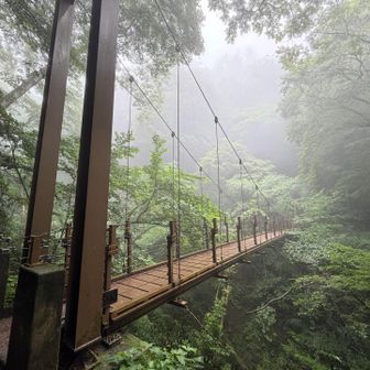 霧の中の吊り橋