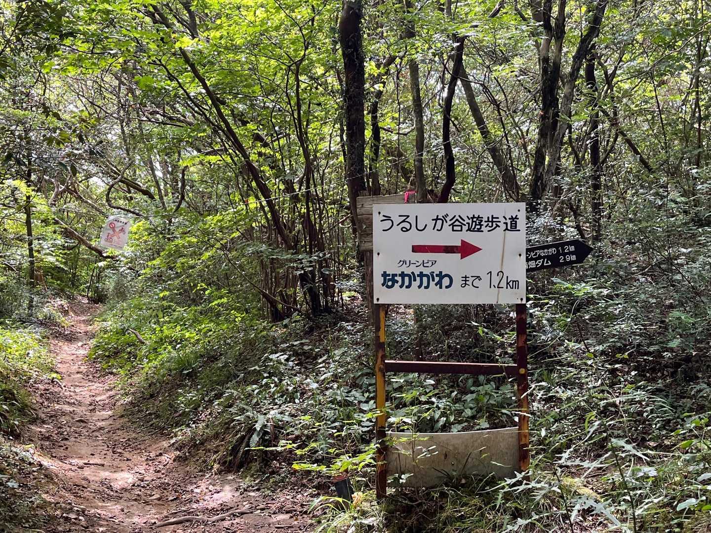 七曲峠-三国峠-九千部山 往復コースの写真