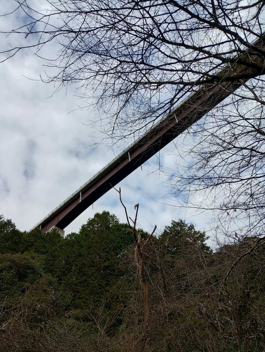 見上げると・・勝尾大橋🤩