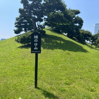 樋の口山