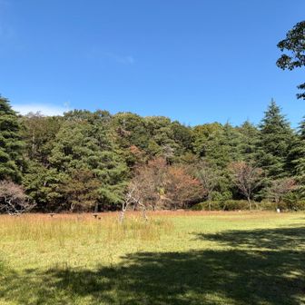 この広場も季節のよって見え方が全然違う。