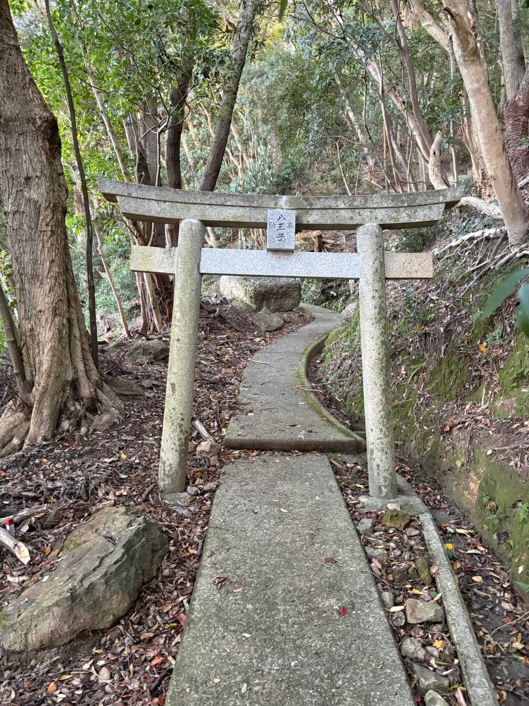ここから歩き。