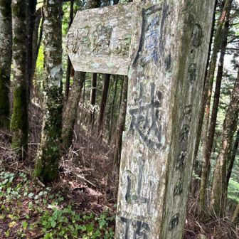 地味、、展望全くない。展望地まで行ってモグモグタイム。中央アルプス雲のなか😂